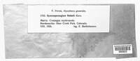 Image Associated With the Occurence